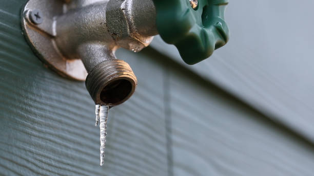  Moa, UT Plumbing Pros